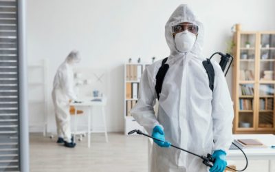 Signs of a Hidden Pest Infestation That Every Homeowner Should Recognize